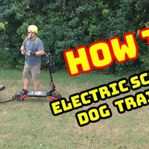 Electric Scooter Trailer How To. My Dog loves to ride on my Varla Eagle One!